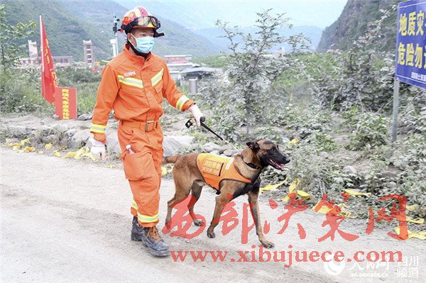 1498441983567933.jpg 6.jpg