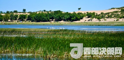 阿魯科爾沁保護(hù)區(qū)濕地沙丘。吳勇攝