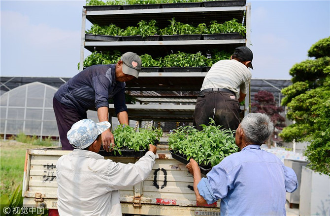 數(shù)字經(jīng)濟(jì)已經(jīng)成為我國經(jīng)濟(jì)社會更好發(fā)展的重要推動力，也為我國鄉(xiāng)村發(fā)展提供了新的歷史機(jī)遇。（圖片來源：視覺中國）