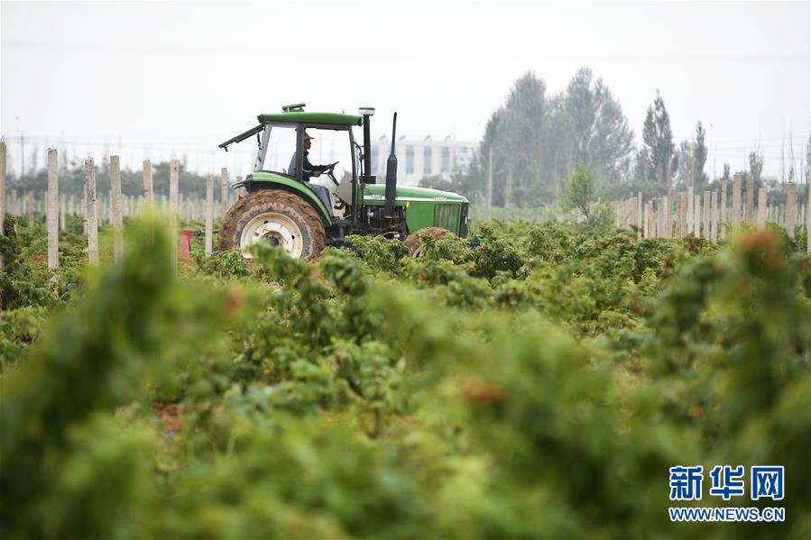 （壯麗70年·奮斗新時(shí)代——共和國(guó)發(fā)展成就巡禮·圖文互動(dòng)）（10）生態(tài)美、百姓富——品讀嶄新“寧夏畫(huà)卷”