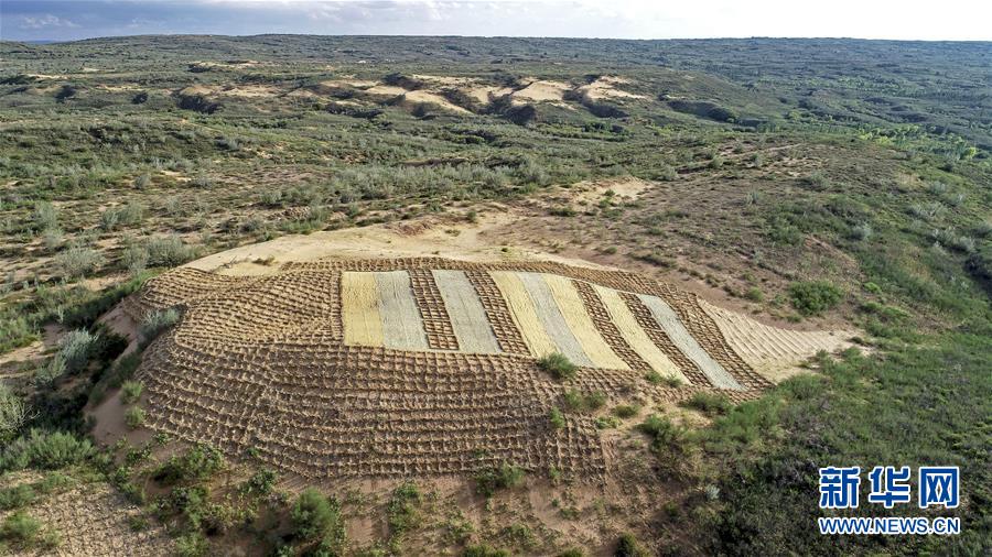 （壯麗70年·奮斗新時(shí)代——共和國(guó)發(fā)展成就巡禮·圖文互動(dòng)）（6）生態(tài)美、百姓富——品讀嶄新“寧夏畫(huà)卷”