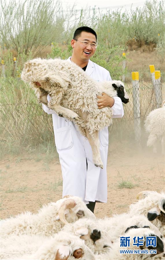 （壯麗70年·奮斗新時(shí)代——共和國(guó)發(fā)展成就巡禮·圖文互動(dòng)）（3）生態(tài)美、百姓富——品讀嶄新“寧夏畫(huà)卷”