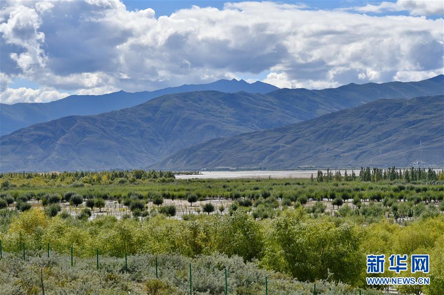 （圖文互動）（4）“今天的生活，就像夢里夢到那樣甜”——寫在西藏百萬農(nóng)奴解放61周年之際