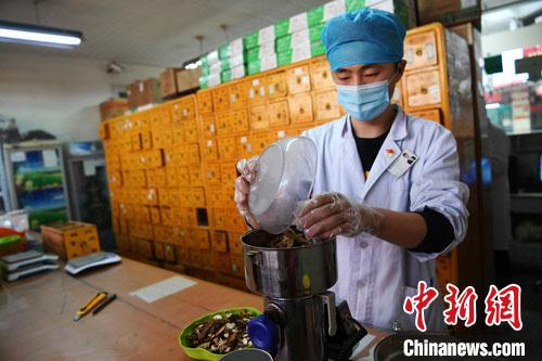 疫情發(fā)生以來，甘肅確保所有病例盡早、及時(shí)、全程使用中醫(yī)中藥，努力做到“一患一方案”。(資料圖) 楊艷敏 攝