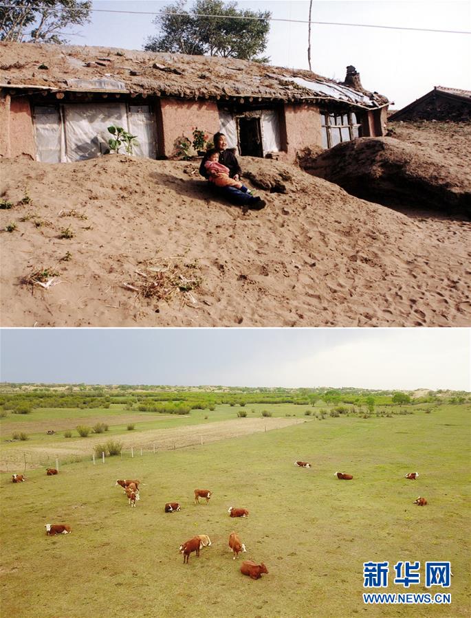 (新華全媒頭條·圖文互動(dòng))(4)京津最近“大沙盆”逆轉(zhuǎn)記