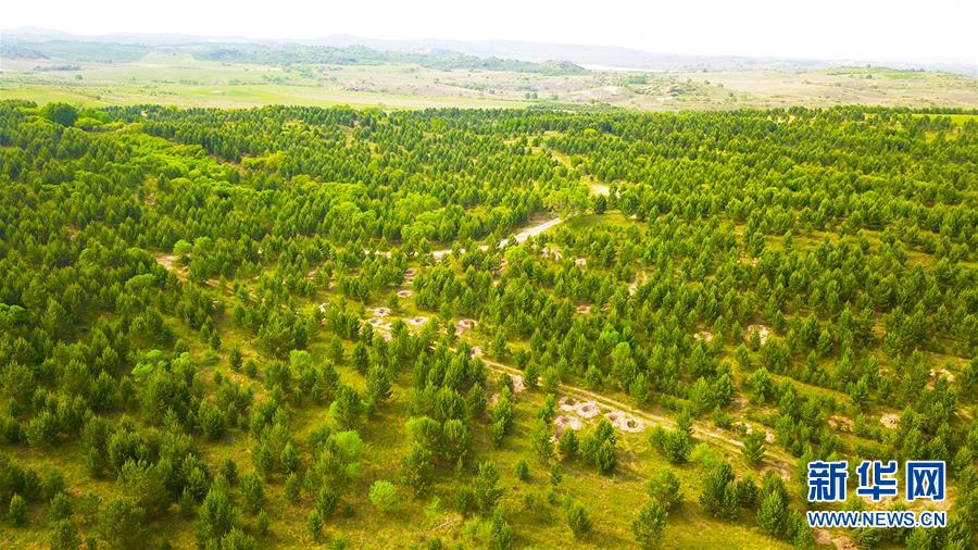 (新華全媒頭條·圖文互動(dòng))(8)京津最近“大沙盆”逆轉(zhuǎn)記