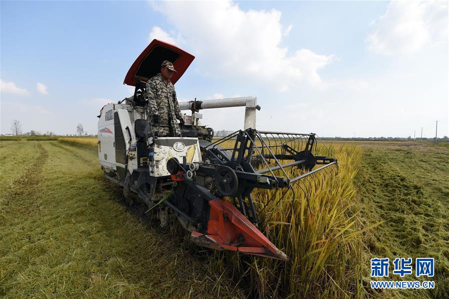 （新華全媒頭條·圖文互動）（7）長淮新“斗水”記——寫在新中國治淮70年之時(shí)