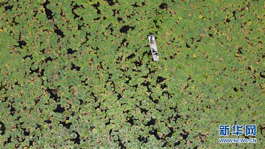 （新華全媒頭條·圖文互動）（3）長淮新“斗水”記——寫在新中國治淮70年之時(shí)