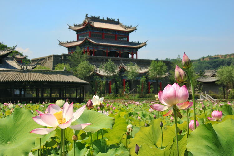 【云游渭南】心中若有桃花源，此處便是水云間！待疫情散盡，一起來渭南桃花源賞美景、觀民俗、享美食_fororder_2