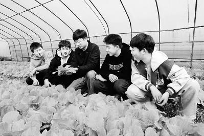 發(fā)展面向鄉(xiāng)村振興的職業(yè)教育:人才如何“向農(nóng)而行”